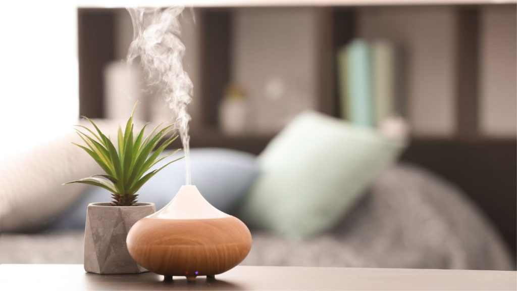 Essential Oil Diffuser and Houseplant on the Table