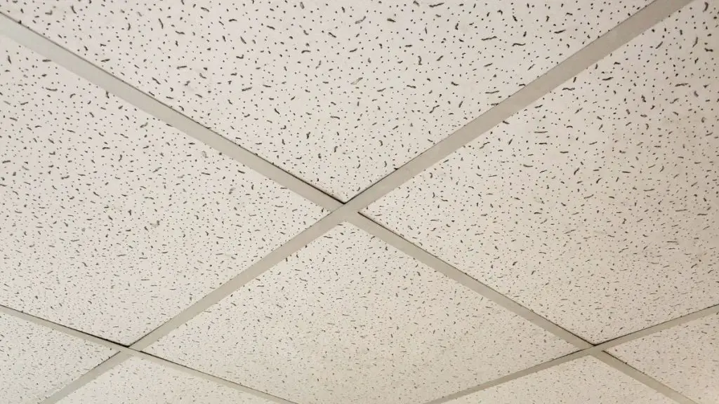 Office ceiling.