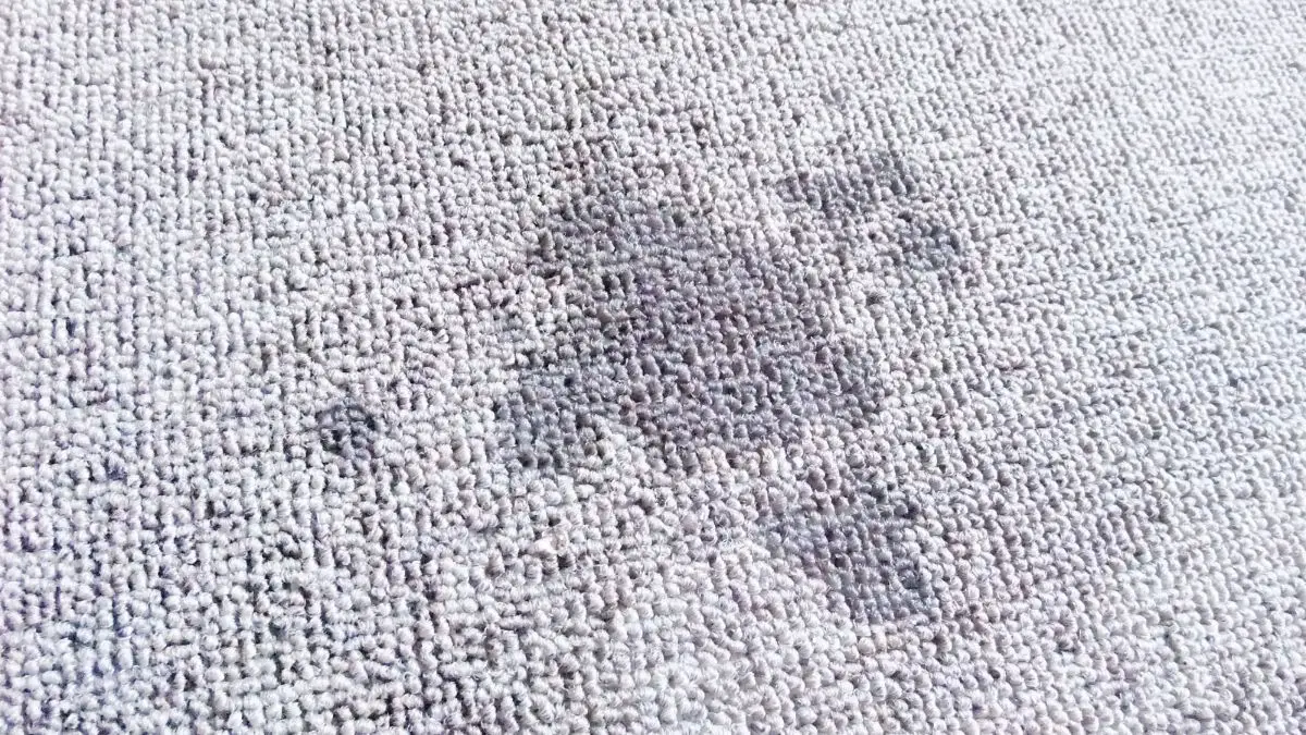 Carpet wet with water