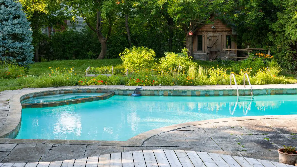 Swimming Pool in Backyard