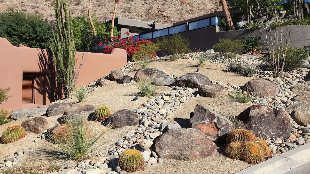 Xeriscaped Desert Residential Landscaping